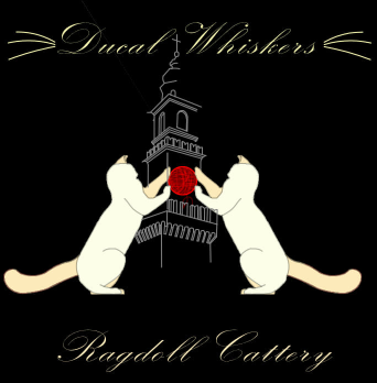 Ducal Whiskers